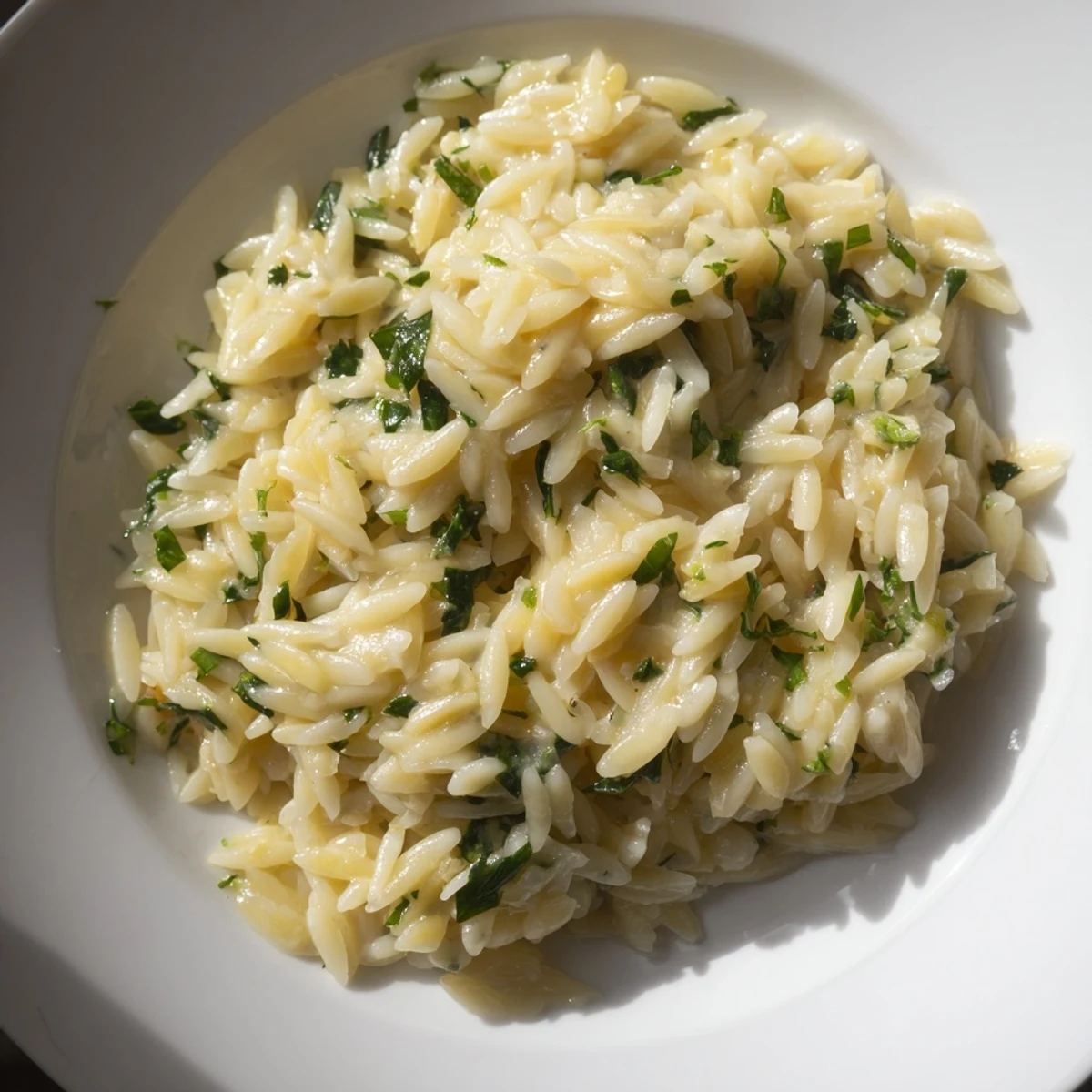 A steaming bowl of One-Pot Creamy Orzo, sprinkled with parsley, is a comforting Italian-inspired meal.