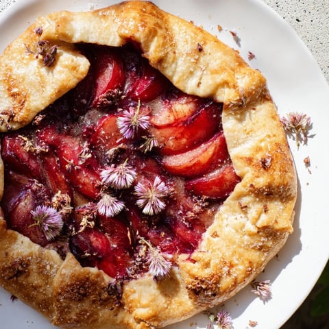 Golden-crusted Honey and Plum Galette, showing off juicy plums baked to bubbling perfection.
