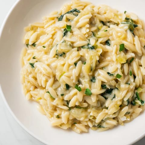 A close-up of finished One-Pot Creamy Orzo, showing the creamy texture and spinach throughout the pasta.